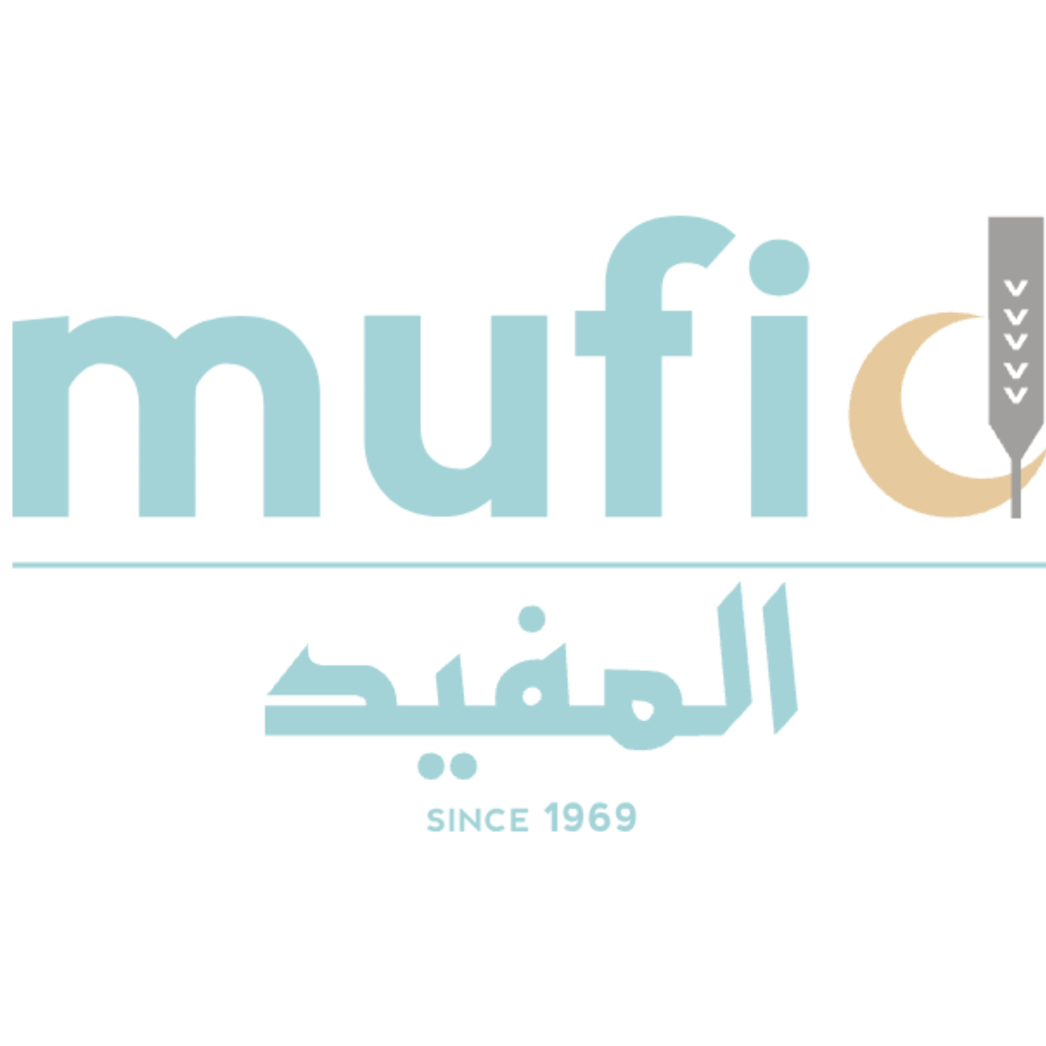 المفيد